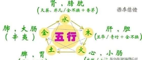 八字五行与疾病点窍