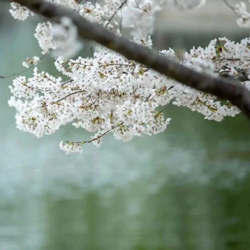 日干周论丨2月26日至3月3日