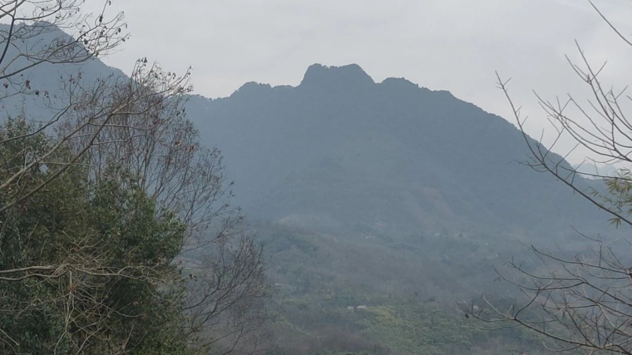 贵龙行走带土星，应对古人座御屏