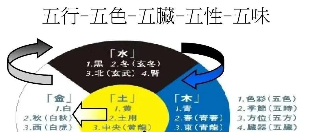 易经五行所对应：五色、五味、五脏、五季……